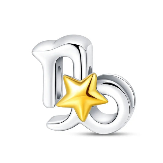 ♑ Charm Capricorne