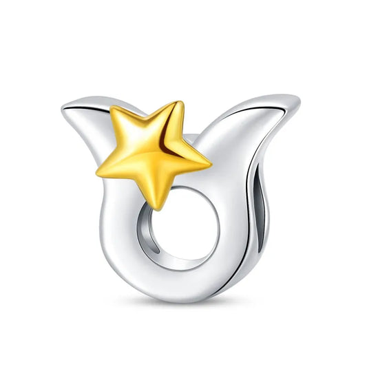 ♉ Charm Taureau