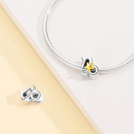 ♑ Charm Capricorne