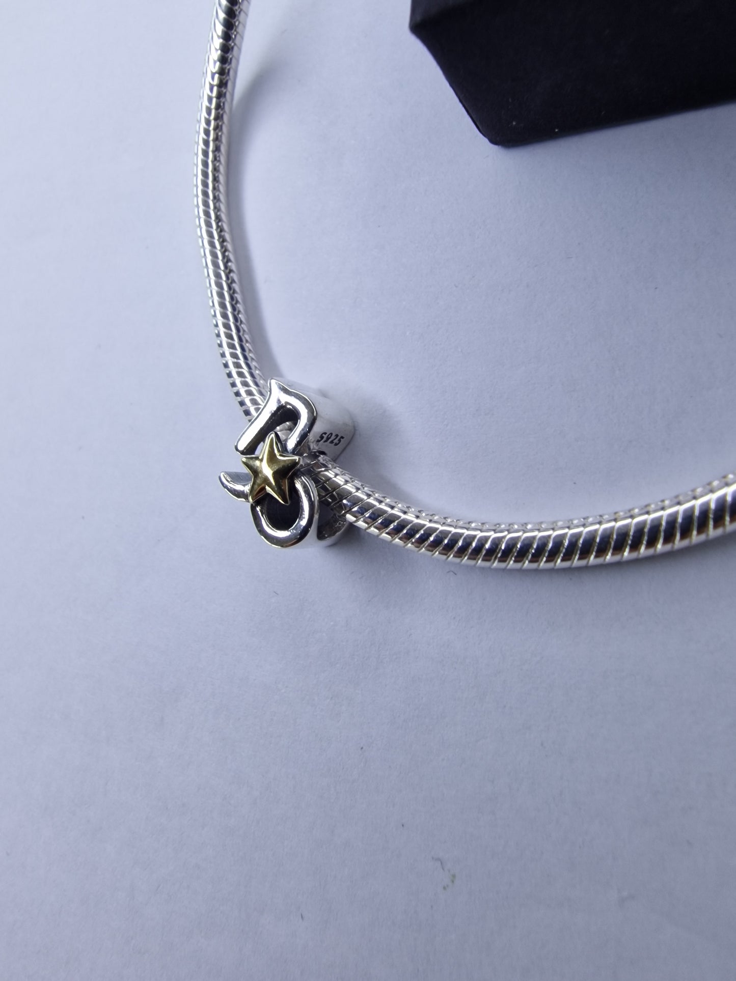 ♑ Charm Capricorne