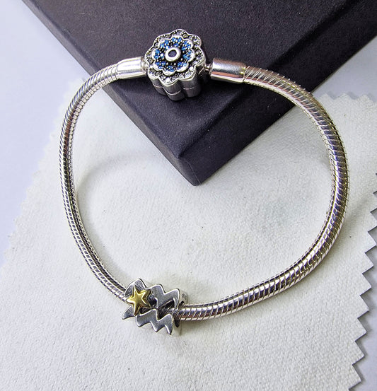 ♒ Charm Verseau