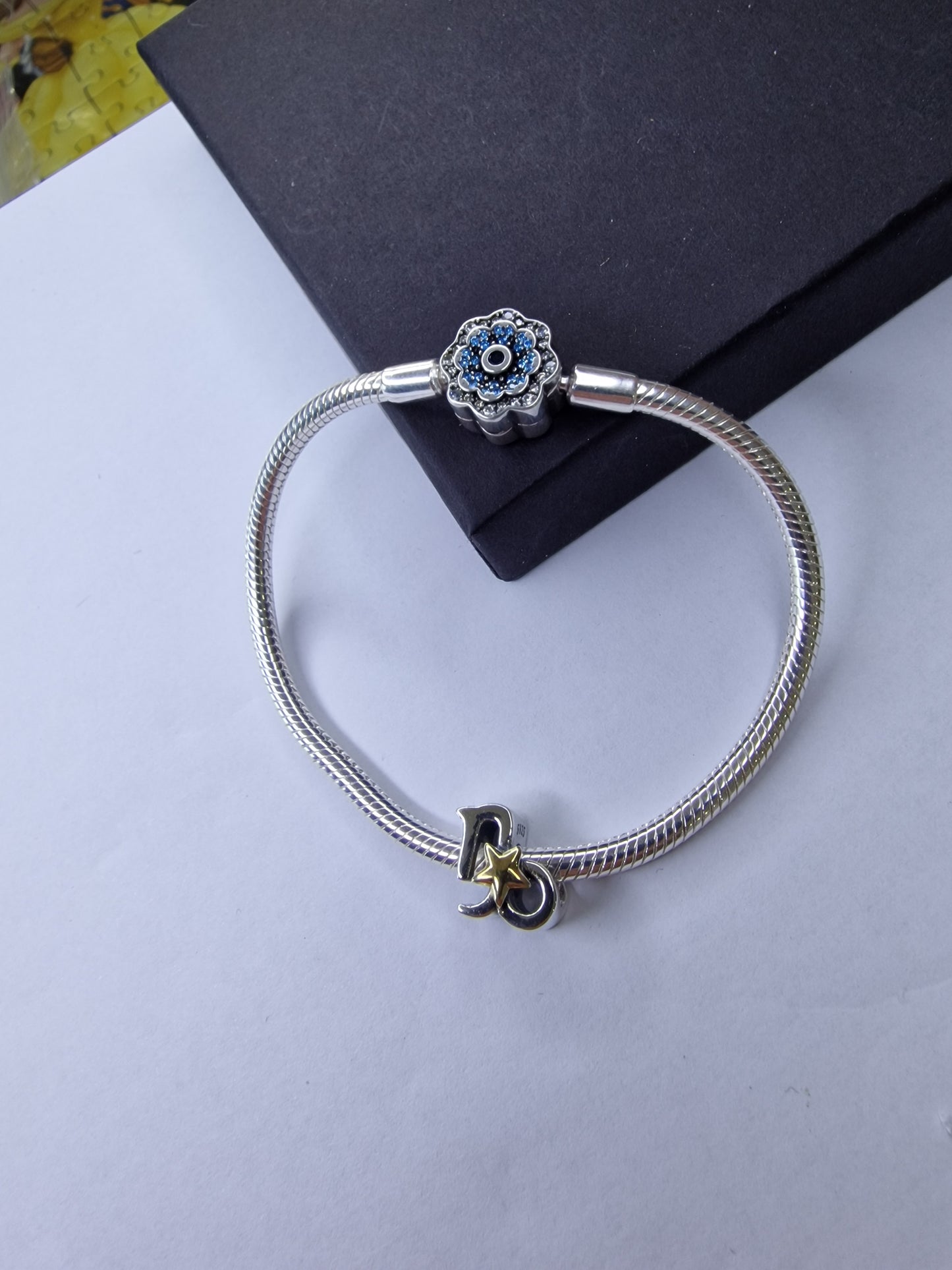 ♑ Charm Capricorne