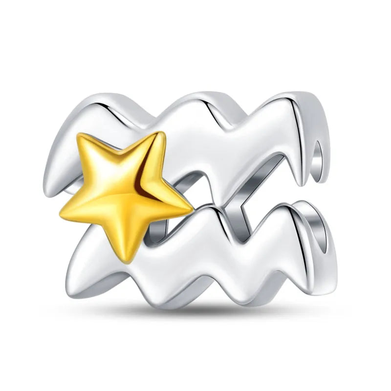 ♒ Charm Verseau