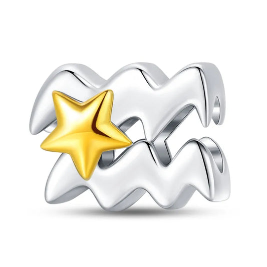 ♒ Charm Verseau